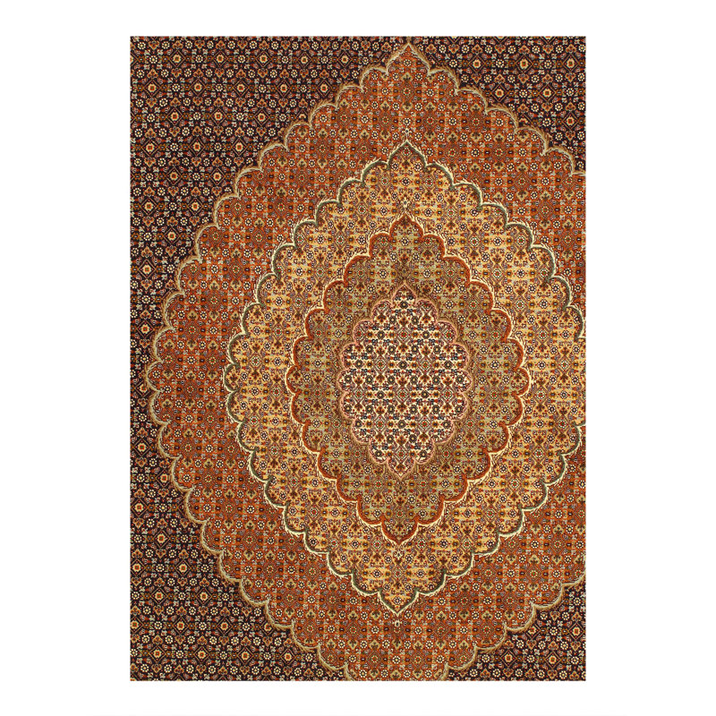 Tapis véritable en soie et laine 10 pi x 13 pi Tabriz