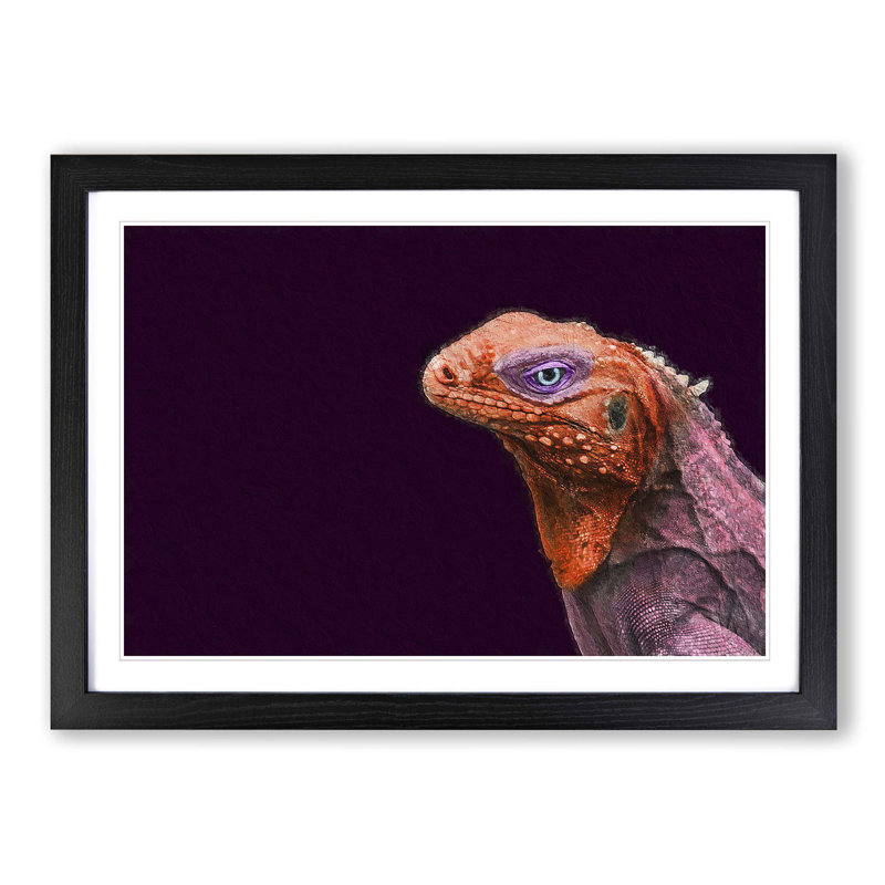Red & Purple Iguana Lizard - Picture Frame Photograph Print, Black Framed, 48cm H x 65cm W x 2cm D