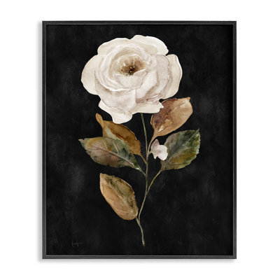 Rose on Giclee Art by Livi Finn