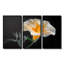 «White Yellow Whimsical Wonders Morning Glory», ensemble de reproductions d'art mural-34114179-34114182