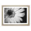 Pretty Flower - Picture Frame Painting Print-56758563-56758562