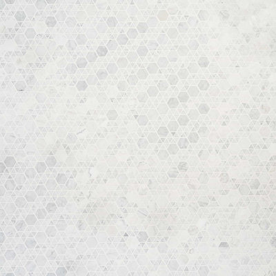 Aspekt 12x12 Hexagon Honed Carrara Marble Mosaic Tile