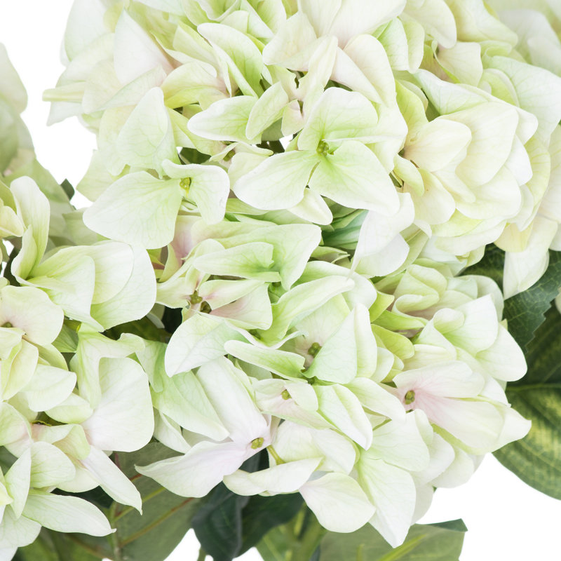 Hydrangea Arrangement, Green
