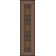 Oriental Indoor Rug
