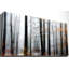 Daylight Enraptured - Reproduction de photo sur toile tendue-22481889