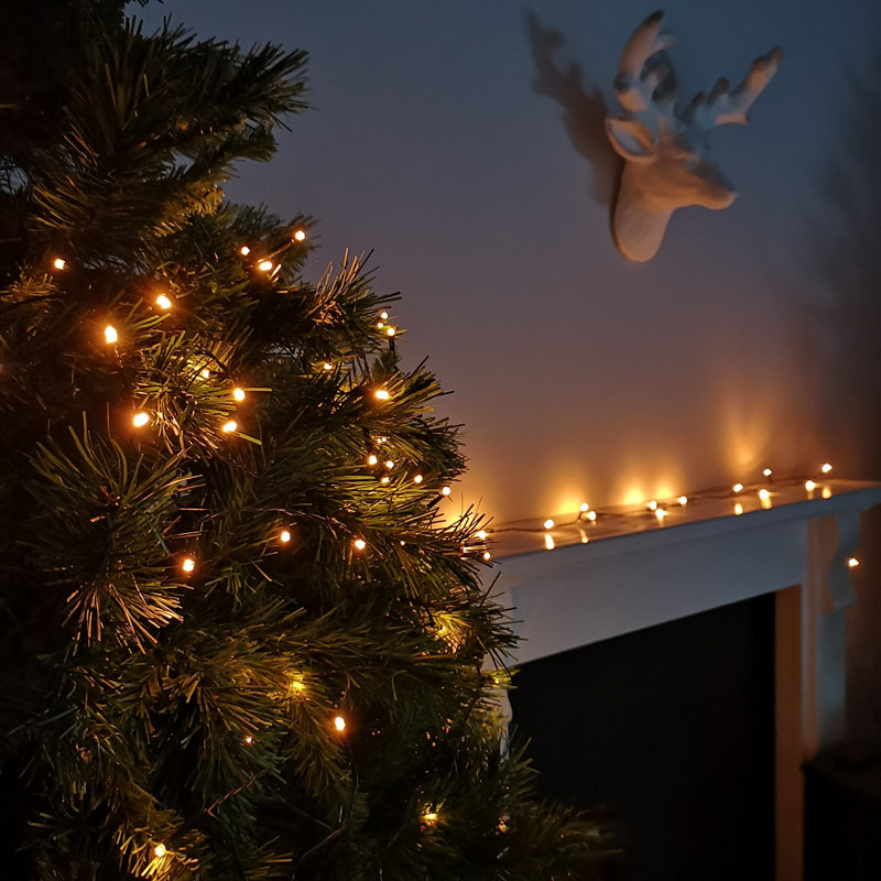 200 - Bulb 2000 cm Battery Powered Standard LED