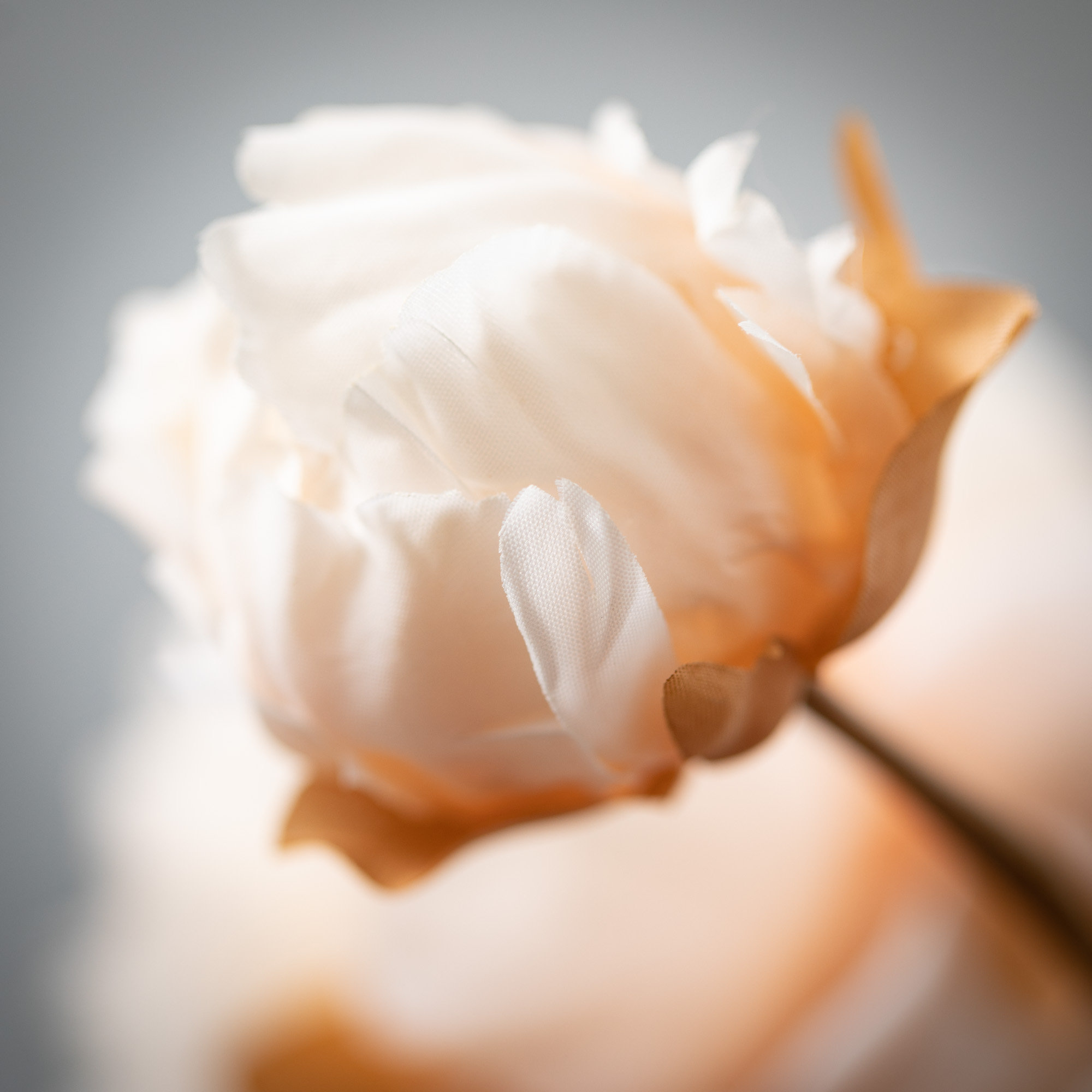 Nod To Nature Classic Blooming Peonies, 22" H x 6" W x 3.25" D, Cream