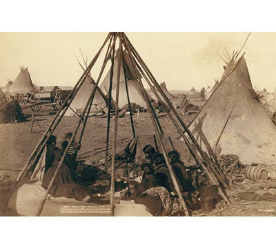 « home of mme american cheval » par john c.h. grabill, reproduction de photo