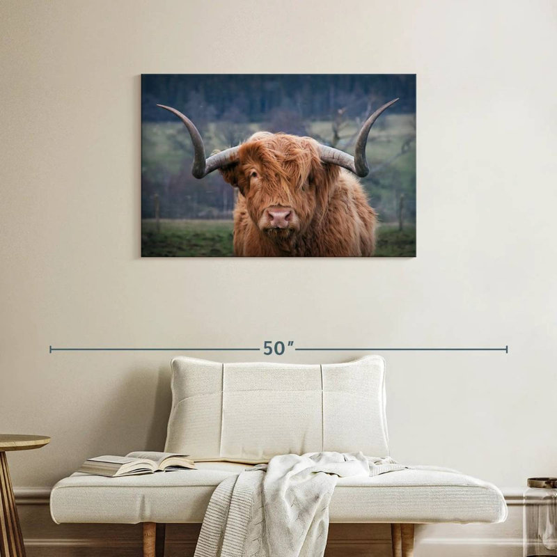 Brampt Wooly Highland Cow, H 24 po x l 36 po