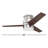Caliopia 42'' Ceiling Fan with LED Lights-116215002