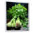 White Floater Framed