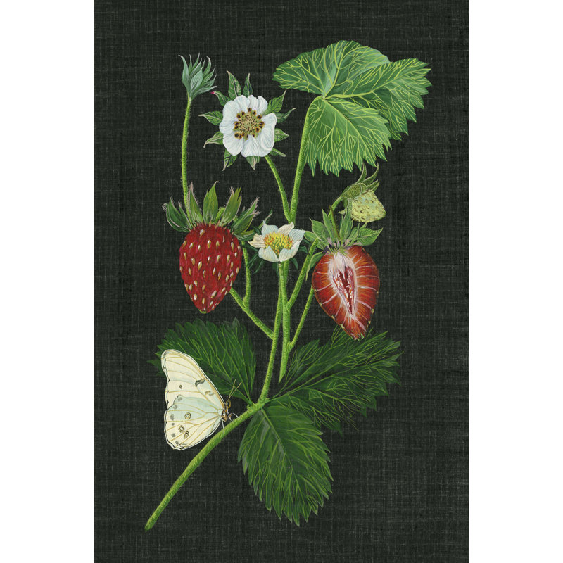 " Strawberry Fields I " by Melissa Wang, 12" H x 8" W  
