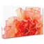 Orange Carnation Flower - Wrapped Canvas-56629029
