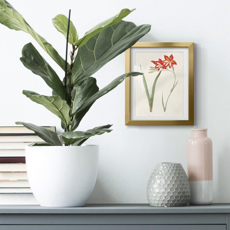 Gathering up the Goddess I -Gallery Wrapped Canvas