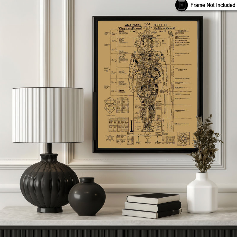 Occult Anatomy, Sans cadre, Affiche, H 08 po x l 10 po