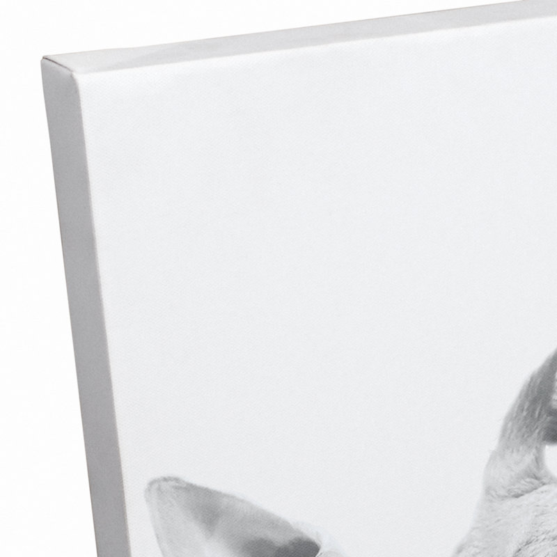 Art sur toile baby giraffe Becerra, H 14 po x l 11 po x P 1,25 po