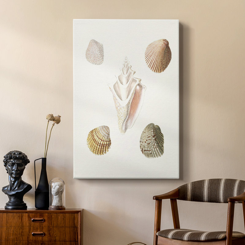 Pastel Knorr Shells IX -Custom Wrapped Gallery Cavas, 48" H x 32" W