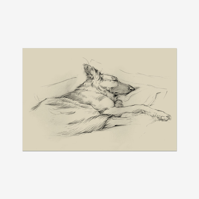 Dog Days IV by Ethan Harper - Print, 61cm H x 91cm W, Wrapped Canvas
