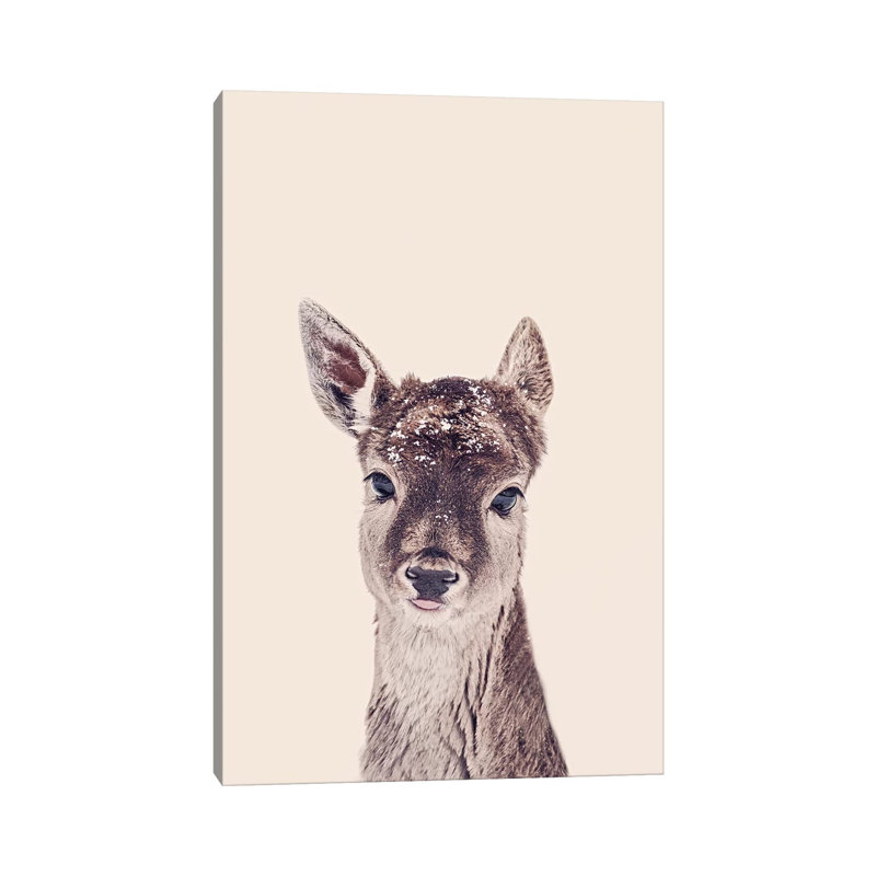 Fawn Rose by Monika Strigel - Wrapped Canvas Print, 20.32 cm H x 30.48 cm W