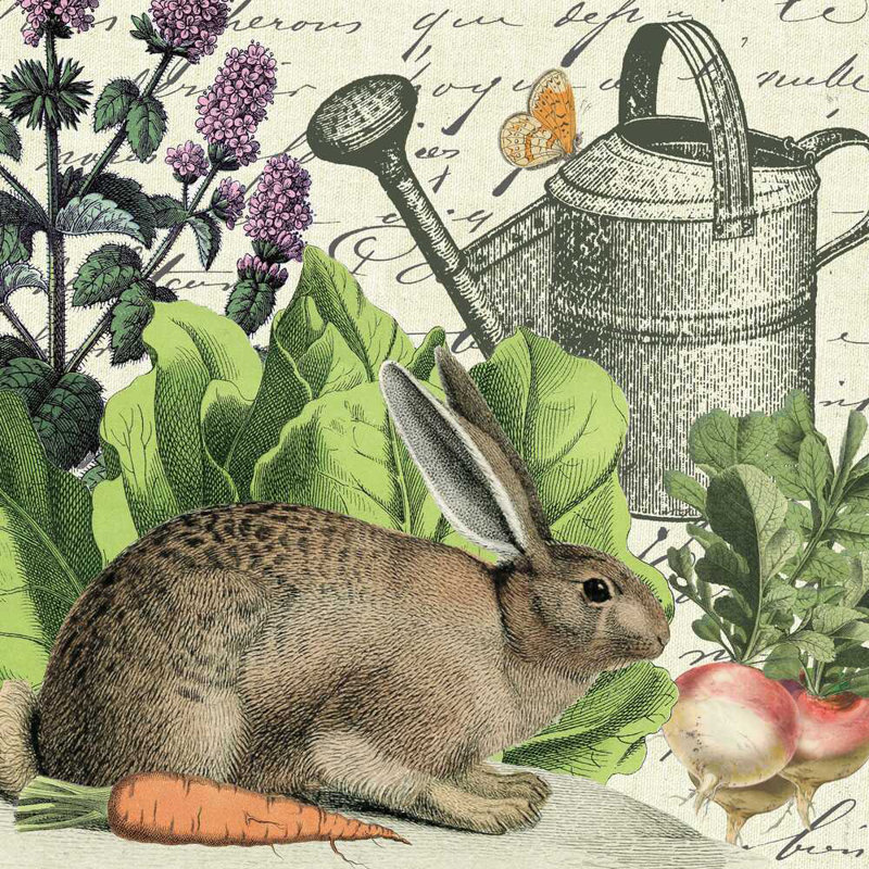 Lapin de jardin I, H 20 po x l 20 po