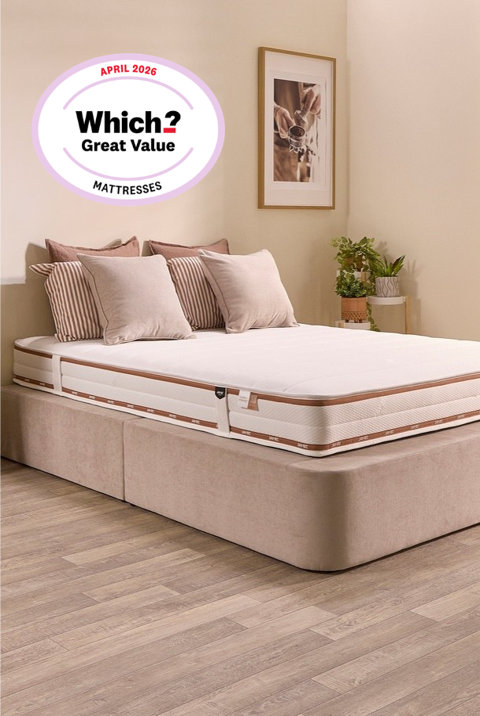 Jay-Be Adult Mattress