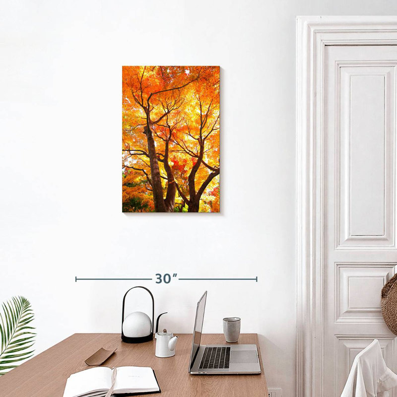 Harnek Scarlet Japanese Maple, 24" H x 16" W