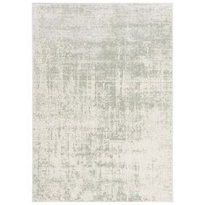 https://assets.wfcdn.com/im/63028067/resize-h300-w300%5Ecompr-r85/2220/222029087/Arrietty+Abstract+Machine+Made+Area+Rug+in+Sage%2FIvory.jpg