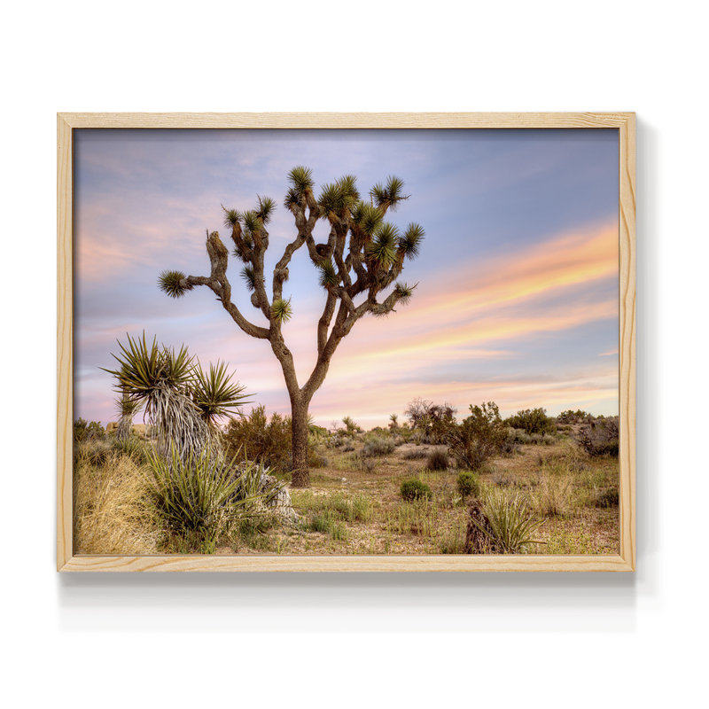 Joshua Tree Sunrise - reproduction encadrée - réarmable, H 8 po x l 10 po, Naturel
