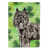 Bouvier Des Flandres