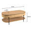 Aliegha Coffee Table with Storage
