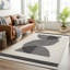 Machine Woven Beige/Black/Ivory Indoor Rug-1730541641