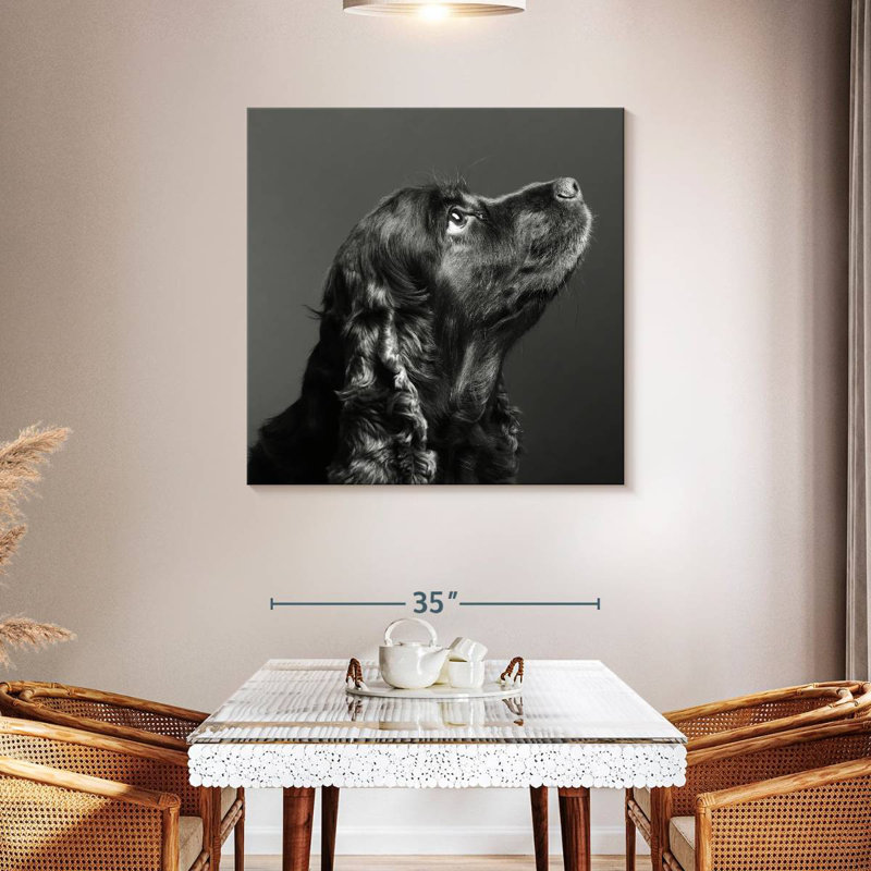 Brampt Shiny Black Dog, 39" H x 39" W