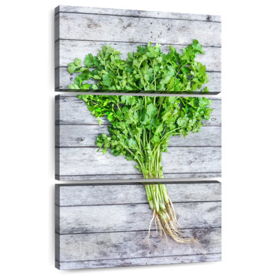 Harnek Cilantro