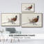 Pheasant Splash 2, reproduction d'art sur toile-92471485-92471486