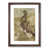 Walnut Framed