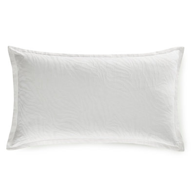 Coussin Waves