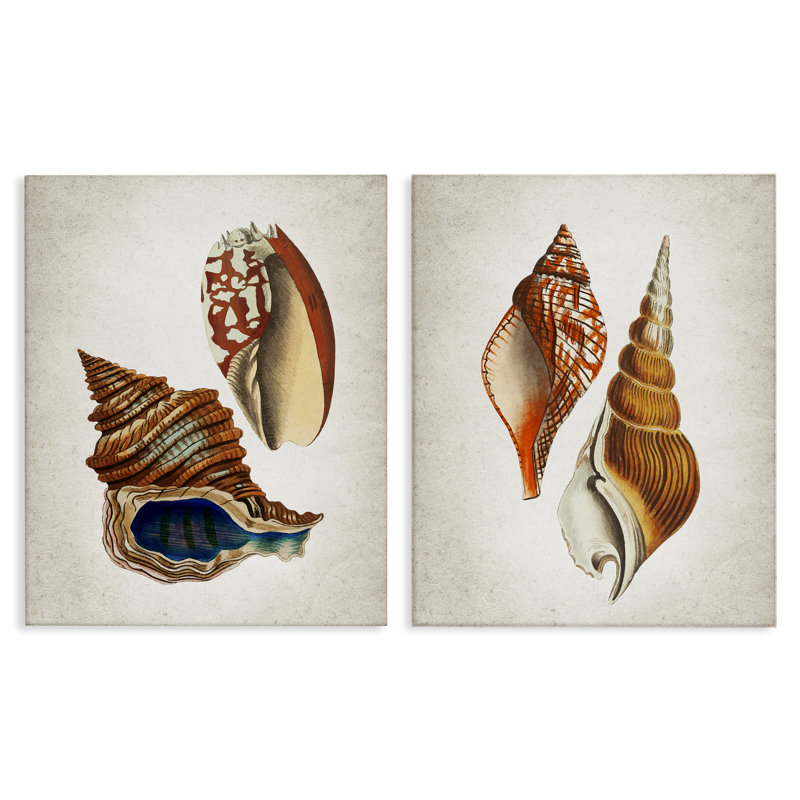 «Twin Shells Motifs», ensemble de 2 toiles murales, design par Kim Allen, H 24 po x l 60 po