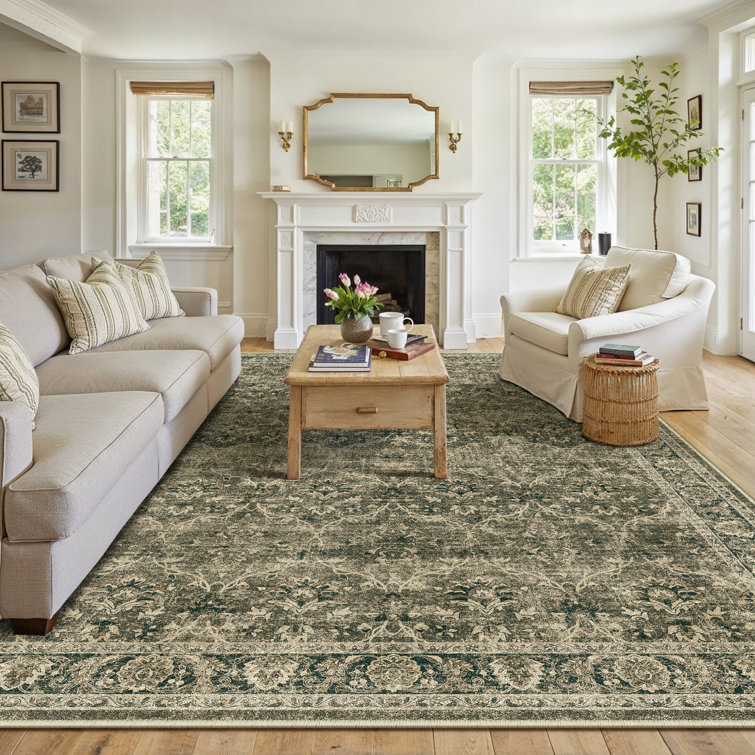 Orihue Vintage Brown Area Rug for Living Room with Non-Slip Backing