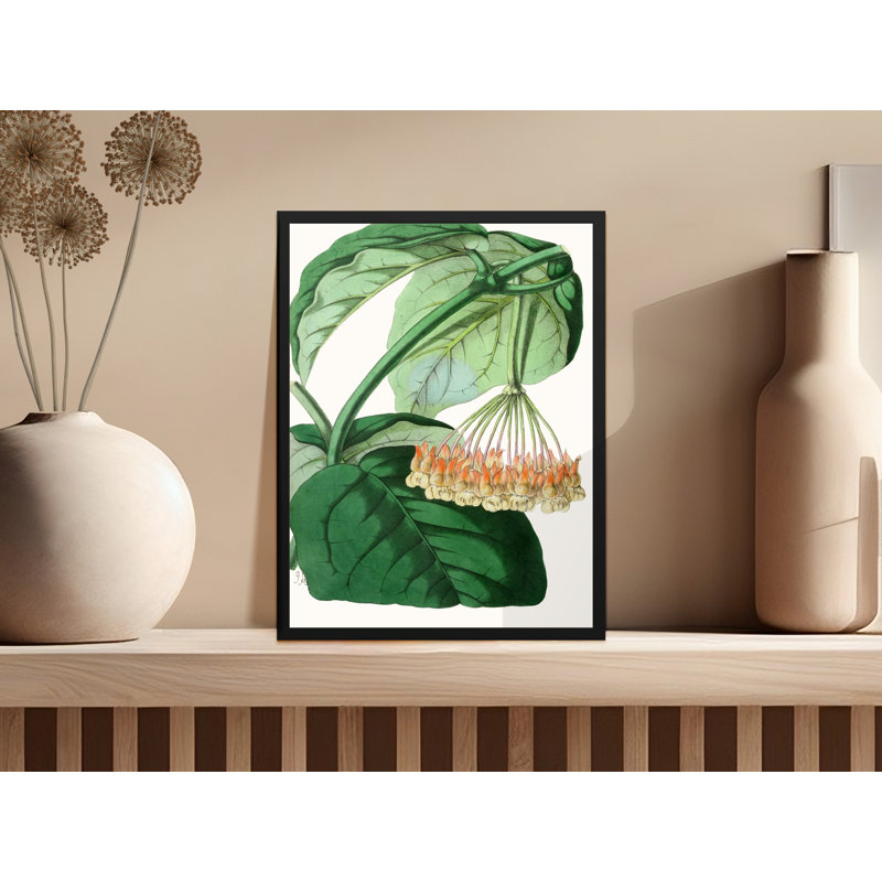Amata 1 Piece Wall Art, 12x16