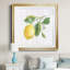 Lemon Fresh II - Reproduction d'art sur papier encadré-626811814-626811818