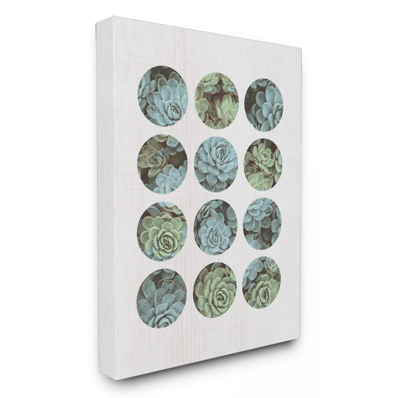 « succulent cercles », impression, H 20 po x l 16 po x P 1,5 po, Toile tendue
