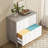 2-Drawer File Cabinet, Lateral Filing Cabinet For A4/Letter/Legal Size, Office Storage Cabinet, Printer Stand With Storage Drawer For Home Office, White & Gray
