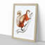White-Bellied Flying Squirrel Illustration by John Edward Gray - Picture Frame Painting Print-55612689-55612691