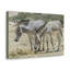 Wall Art on Canvas
