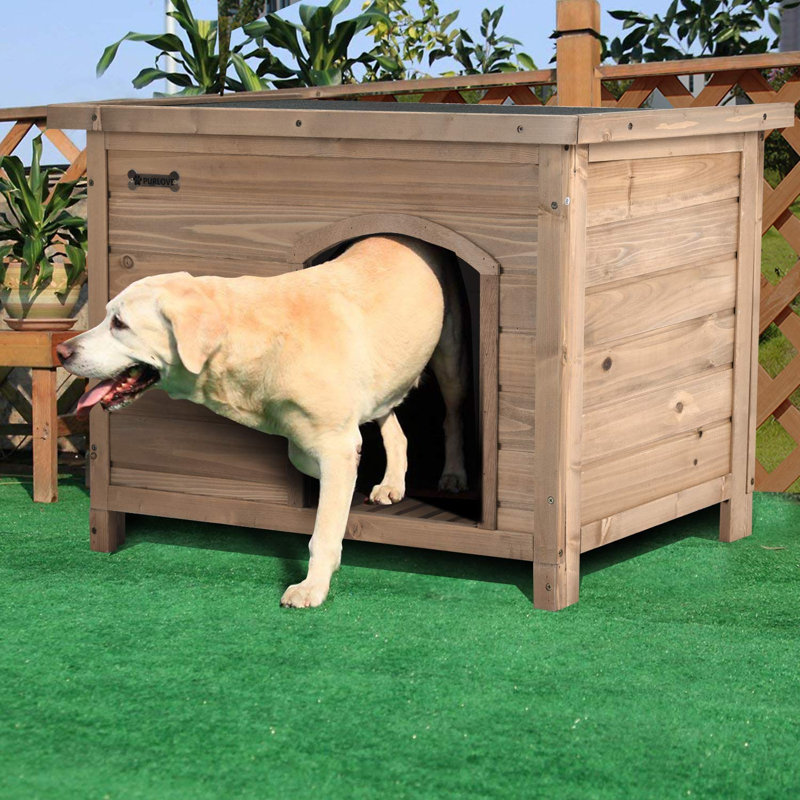 Angela Pet Crate with 1 Door, Large (80cm H x 75cm W x 109cm L)
