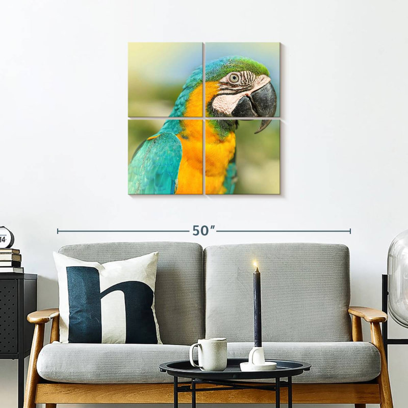 Brampt Parrot, 26" H x 26" W