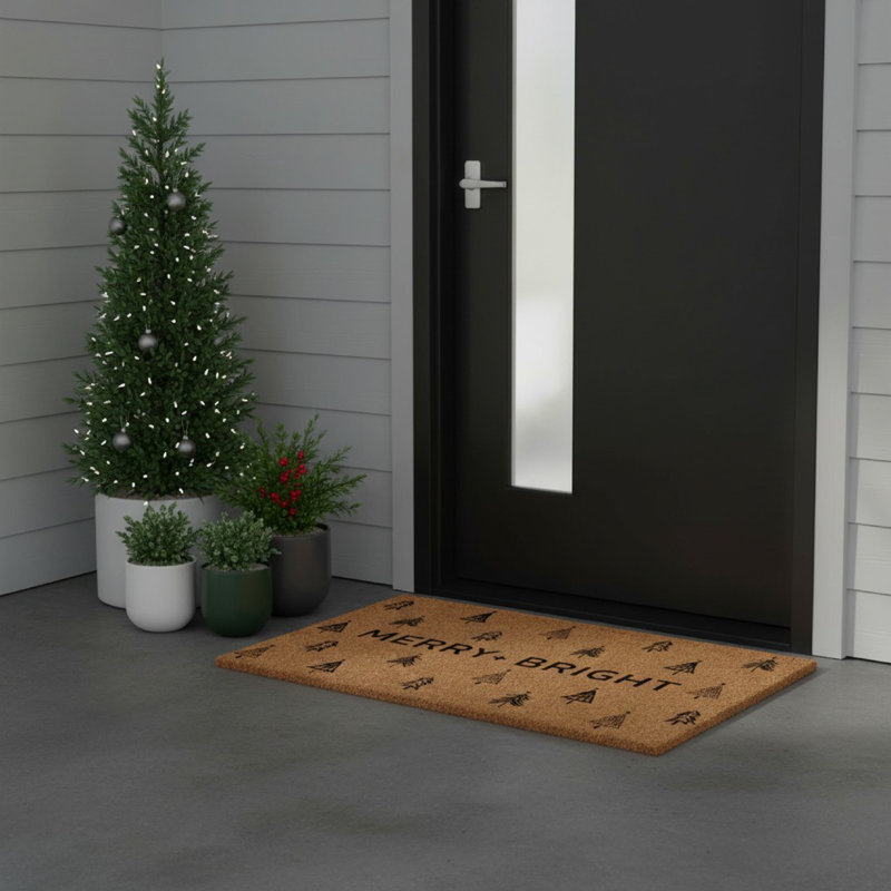 Tapis antidérapant Demara, Rectangle l 24 po x L 36 po