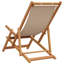 Folding Beach Chair