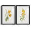 Ochre botanique I - ensemble de 2 reproductions d'art-451386735-450957504-451386724