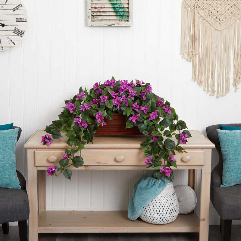 Plante florale pour bureau bougainvillea, Mauve